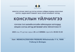 Бадэн-Вюрттэмбэрг муж улсын фрайбург хотод явуулын консулын үйлчилгээ хэрэгжинэ.